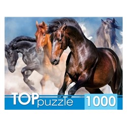 TOPpuzzle 1000 элементов "Табун скакунов" (ГИТП1000-2147)