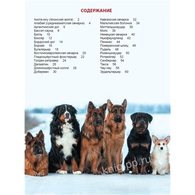 Книжка "Энциклопедия для детей. Собаки" (32108-7)