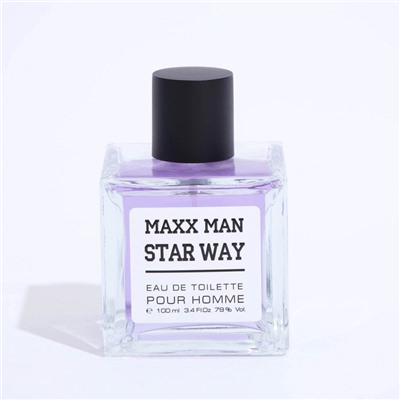 Туалетная вода мужская Maxx Man StarWa, 100 мл