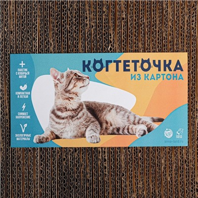 Когтеточка из картона с кошачьей мятой Sleep, eat, dance, repeat, волна, 22 х 45 см